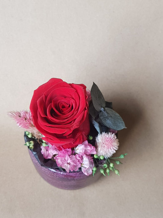 Preserved Red Rose & Dried Flower Arrangement in Handmade Air Dry Clay Pot
