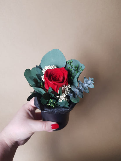 Preserved Red Rose & Dried Flower Arrangement in Black Paper Pot