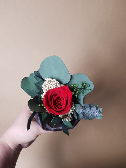 Preserved Red Rose & Dried Flower Arrangement in Black Paper Pot